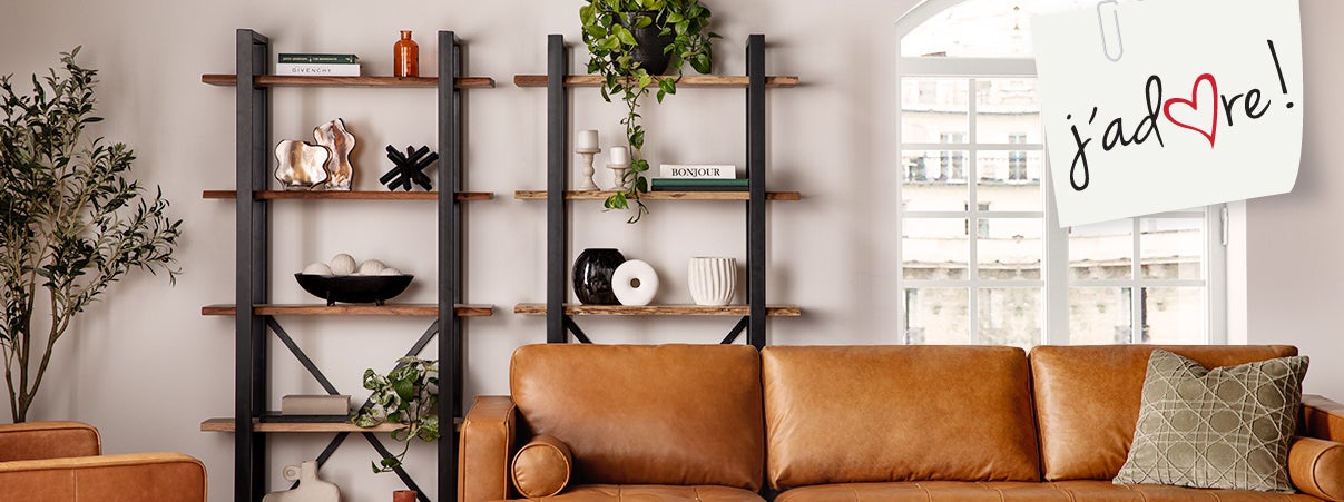 Bookcases & Shelves